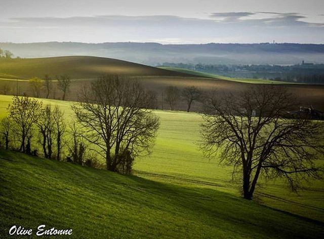 Igers_auch's tweet photo. vous présente son coup de 💚 du jour, le paysage reprend des couleurs sur le Gers 📸 : @olive_entonne  merci pour cette photo !
.
#️⃣ Partagez vous aussi vos #photos du #gers avec #igersauch et #igersgers
.
✨ Sélectionnée par @laure32 .
✌🏼Team @igersau… https://t.co/HalMUgU4RT https://t.co/mZrfstRAR5