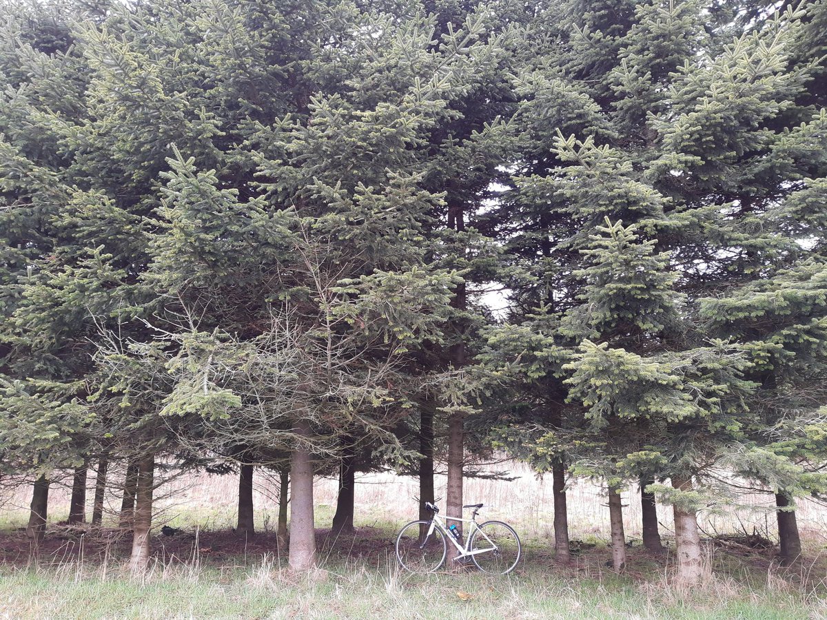 bikeAlottle's tweet photo. Another windy #ride with #thelittleone 🚴🍃
No chance to get out next week so needed to ride today 😋
#flywiththewind #sundayride #aatr #lovecycling #bernardi https://t.co/ivnGL0yaj0