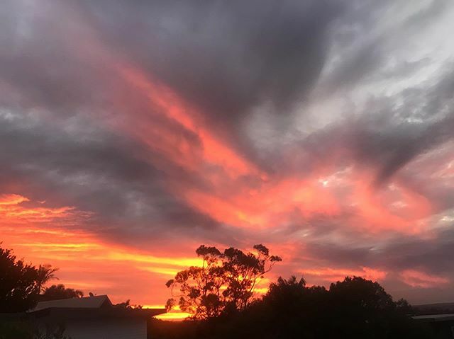 writingquietly's tweet photo. Wonderful to see such breathtaking sunset skies after all the smoke earlier this year. I missed them so at that time. #quietwriting #sunsetsforkate #sunset https://t.co/03vA07kTJh https://t.co/g3h5vtWOmu