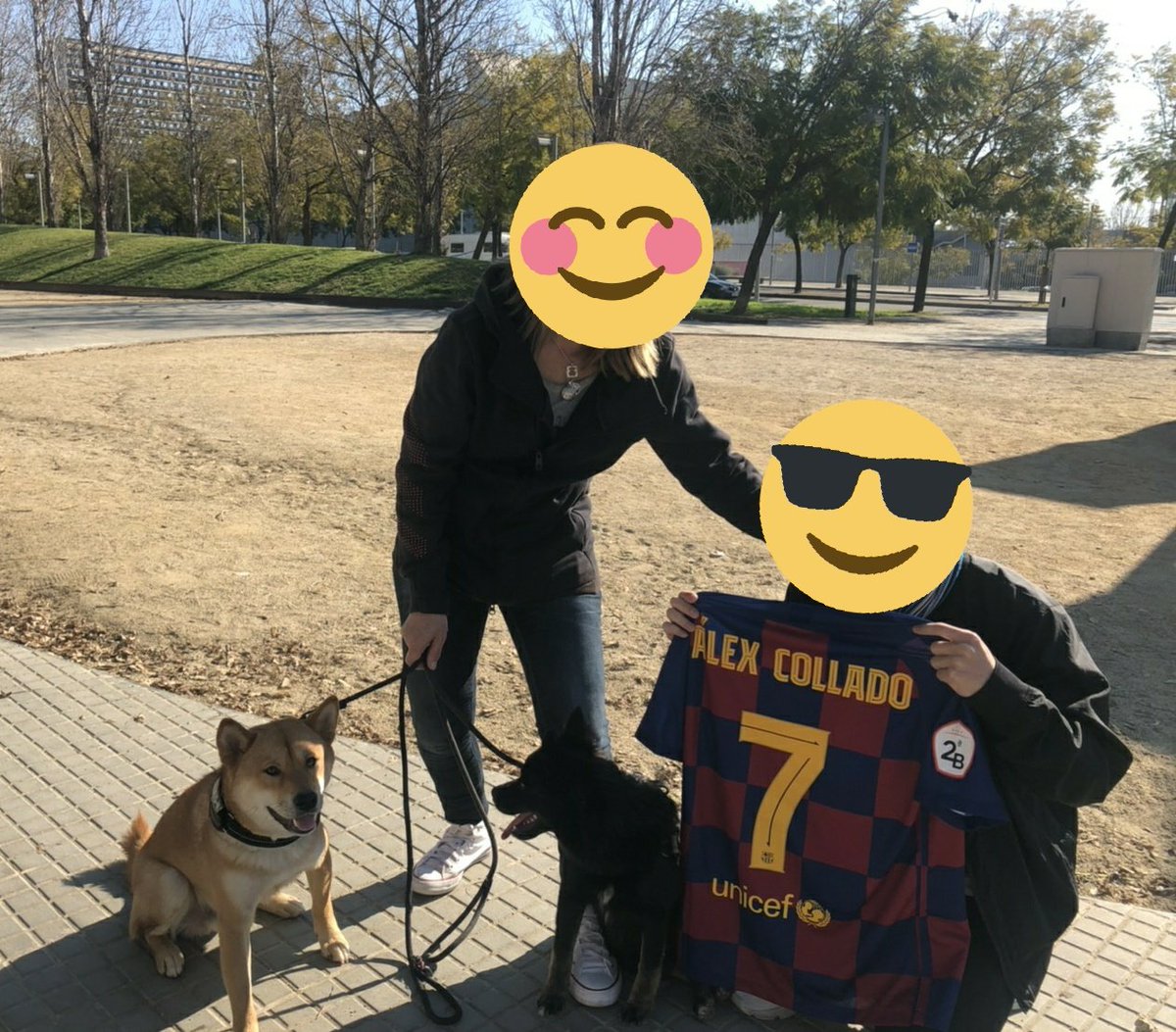 Colladogs10's tweet photo. Lovely sunday❤️
#grAC7as https://t.co/uPuia31vTn
