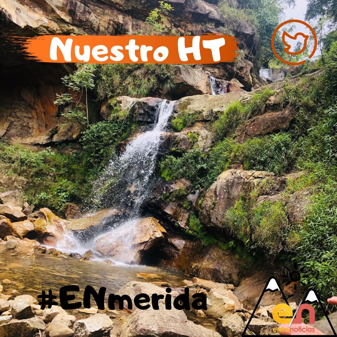 entrenoticiasGV's tweet photo. Ya queda poco¡No te pierdas los últimos minutos¡ #ENmerida https://t.co/RotAvM11Wu