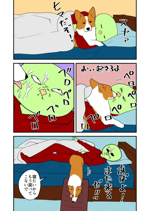 犬と一緒に寝る。 