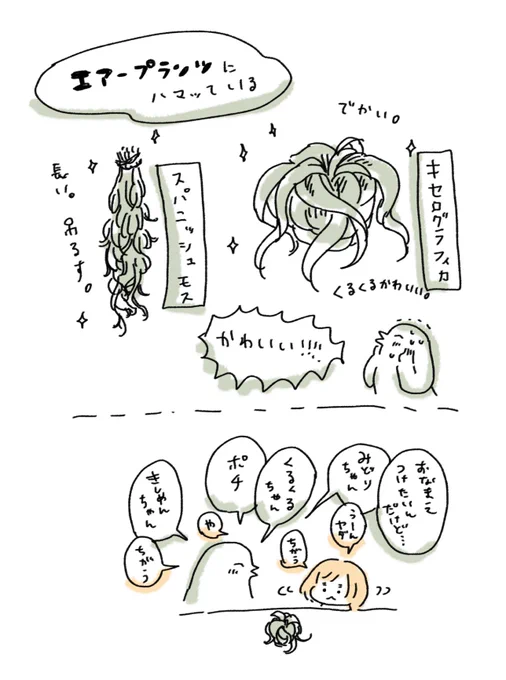 エアープランツがかわいい。土もないのに生きている。悩んで悩んで思い切って購入したけど、好きなものが視界にあると心が潤う… 