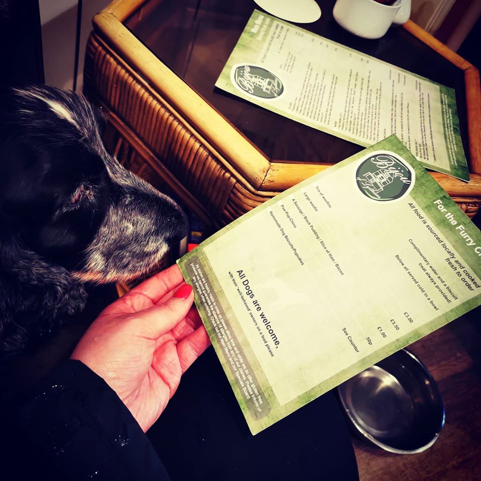 If dogs could talk they'd say take me to <a href="/Bijouoflytham/">Bijou of Lytham</a> where I have my OWN menu
#dogobsessed #Lytham