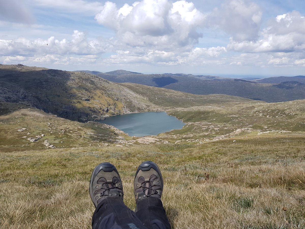 AlpineEcologist's tweet photo. Day 5 of #fieldwork was one for the scrapbook. We covered 23.34 km as we set 40 invertebrate #pitfalltraps and surveyed another #snowpatch to assess the effect of #climatechange in Australia's highest and most diverse #alpine area.
#7daysoffieldwork @Griffith_ENV #scicomm https://t.co/gJIl4qXFXN