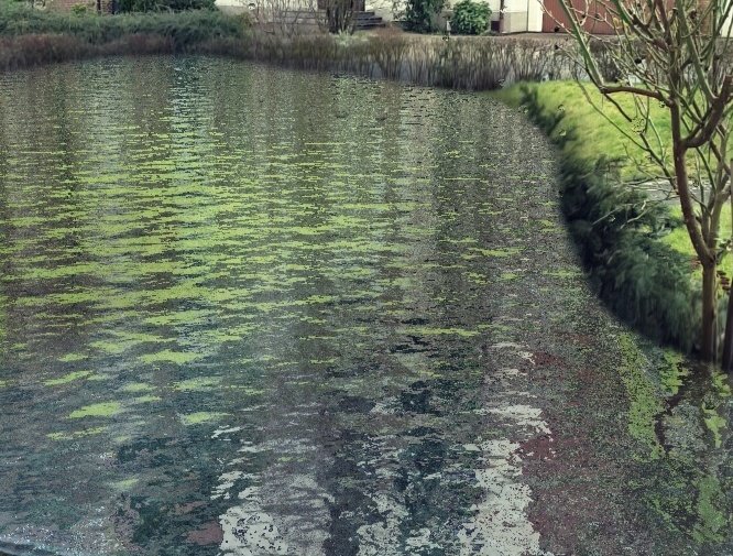 steview4242's tweet photo. @bc_1973lfc 🥰🥰🥰....and if it keeps raining like this bring a boat. Maybe looks like this then. 🙈😆 https://t.co/Z9Z38UzoMo