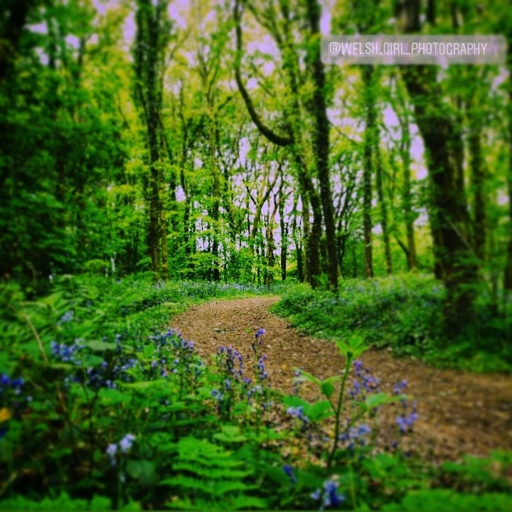 Welsh_Girl_Photography 🏴 tweet media