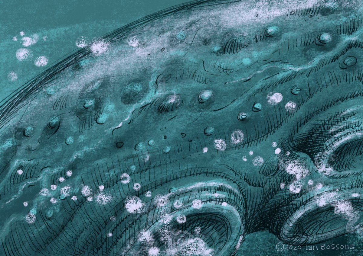 Ian_Bossons's tweet photo. @Clr_Collective #colour_collective #VerditterBlue #kraken #tentacle https://t.co/x8zjsKTqG2