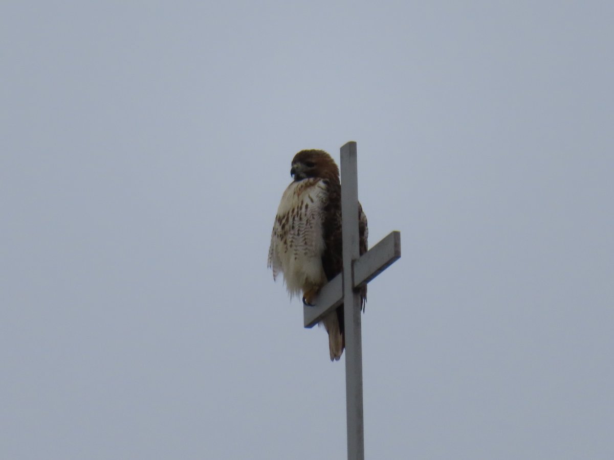 PLKlein_Author's tweet photo. "Take care of your thoughts when you are alone. Take care of your words when you are with others." ~ #Unknown #ThinkBIGSundayWithMarsha #ThinkingOutLoud #QuickQuotes #SundayThoughts #SundayMotivation #TakeCare #Thoughts #Alone #Words #WithOthers https://t.co/e9BIijcr3j