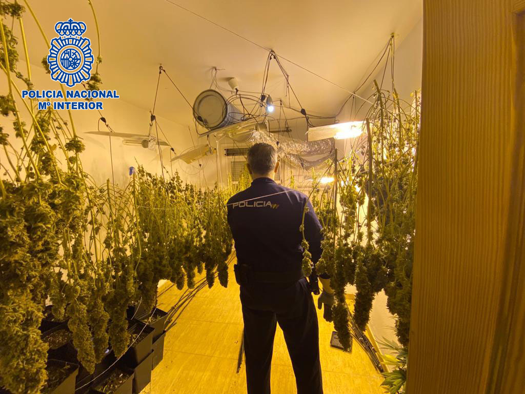 JavierPajaron's tweet photo. Desmantelada una nueva plantación de marihuana en una vivienda de El Ejido
🌱230
La @policia anima a los ciudadanos a colaborar con informaciones en una #Tweetredada @lavozdealmeria https://t.co/s0O2gixOVl