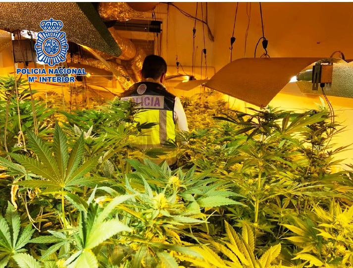 JavierPajaron's tweet photo. Desmantelada una nueva plantación de marihuana en una vivienda de El Ejido
🌱230
La @policia anima a los ciudadanos a colaborar con informaciones en una #Tweetredada @lavozdealmeria https://t.co/s0O2gixOVl