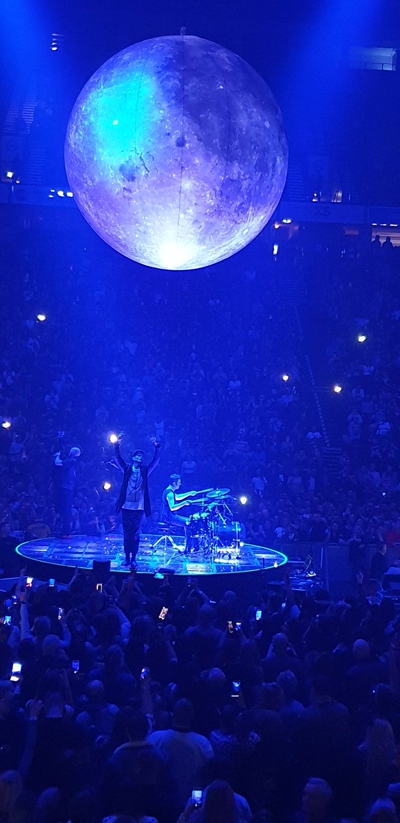 BlueveinELF tweet media