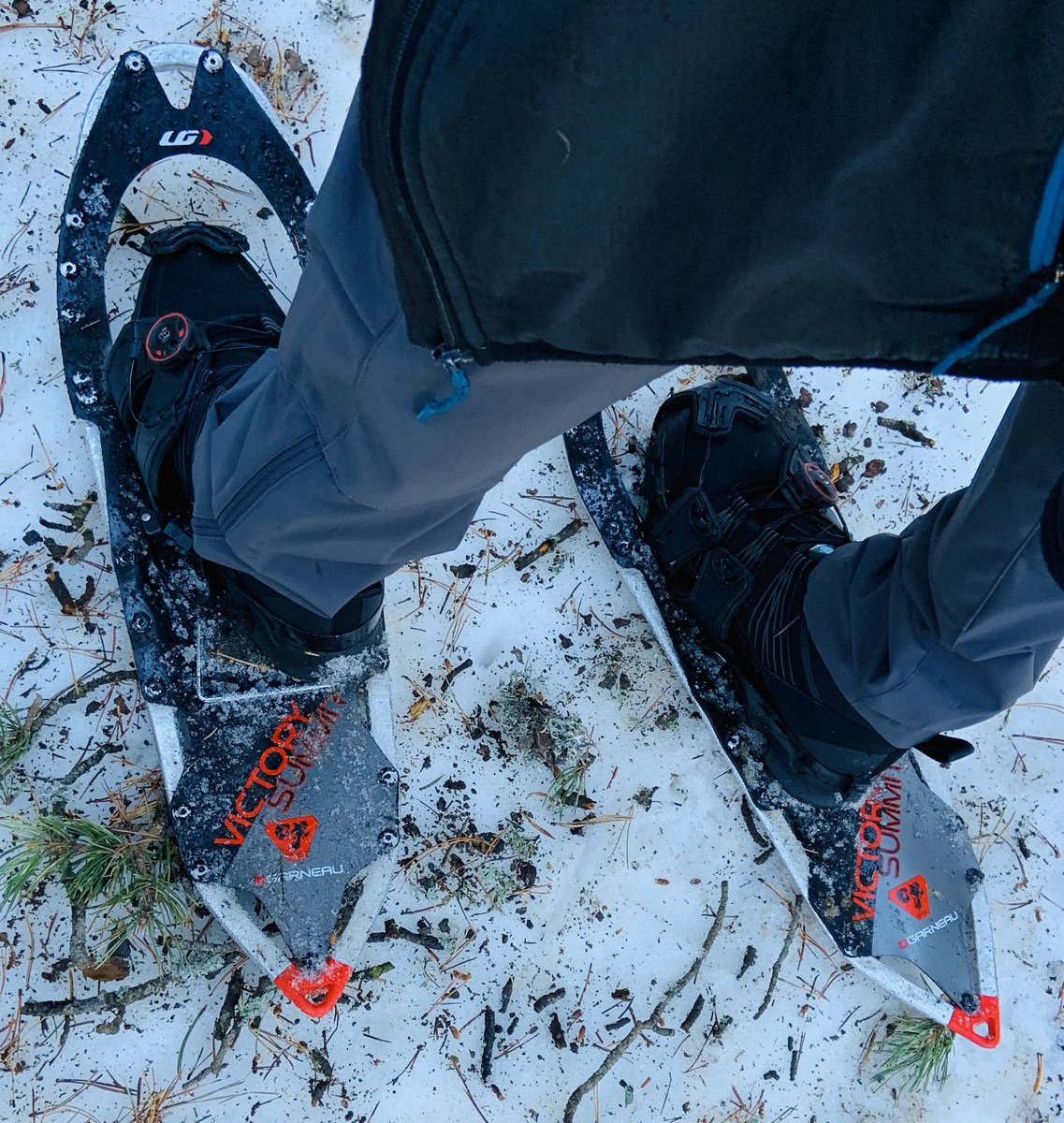 Isabelle Dessureault tweet media