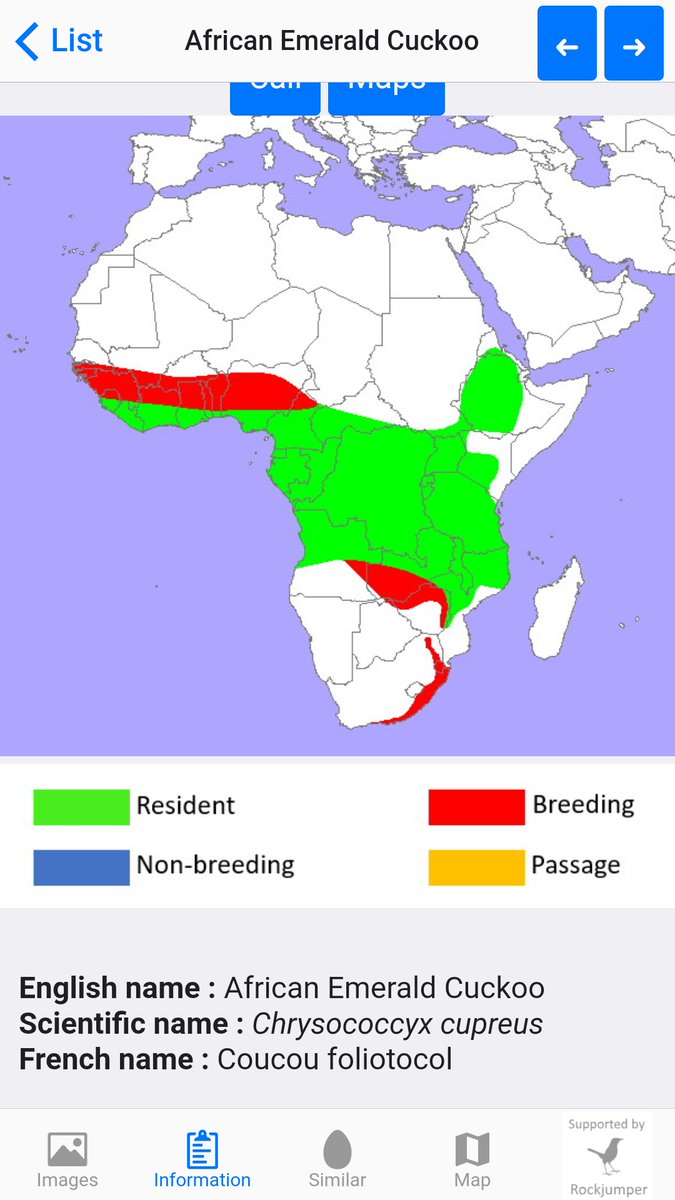 BirdLife_News's tweet photo. The new BIRDS of AFRICA App is available 🤳🐦
✔️972 #bird species
✔️Songs and calls
✔️Maps
✔️Google Play Store &amp; Apple Store
📍🗺️You can also upload sightings to a central database
#birdwatching
@BirdLifeAfrica @Africabirdclub 
📲 https://t.co/kuhZyMPYpJ https://t.co/aV5uQiDqsO