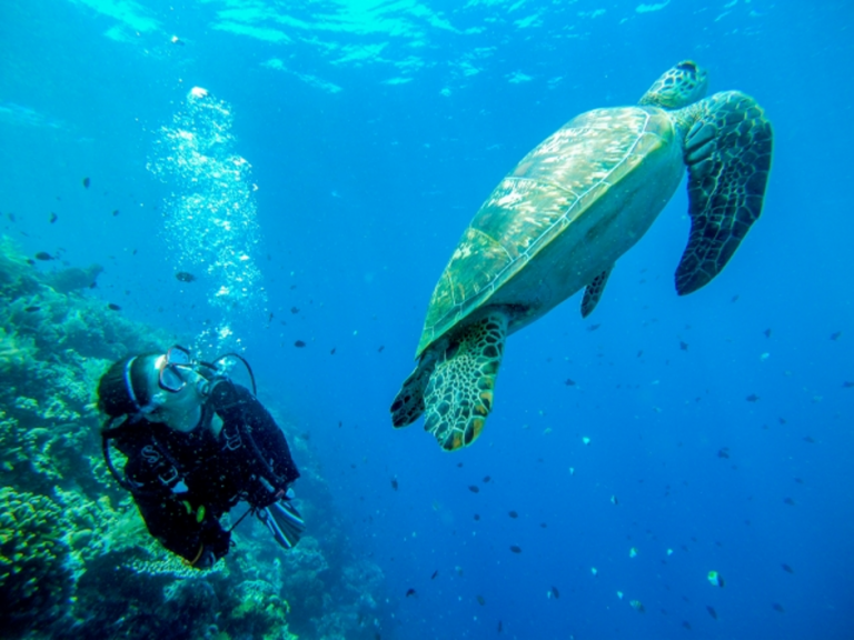 ダイビング中は、背負っているタンクの空気を吸って呼吸しますが、空気がなくなってしまうのが心配になっている人もいらっしゃるのではないでしょうか？
体験ダイビングは心配いりませんが、今回は空気の消費量の目安を計算できる計算式があるので、ご紹介します！(^▽^)
lapice.biz/info/guide/879…