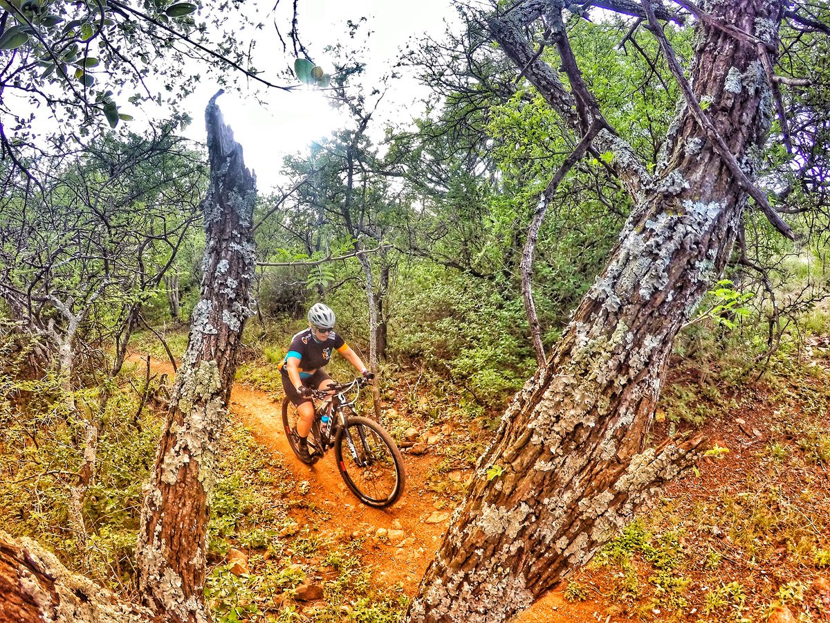 kim voller tweet media