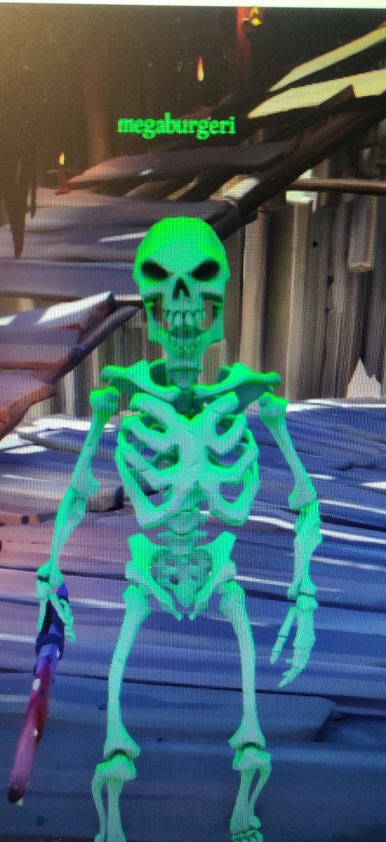 _nlju's tweet photo. @SeaOfThieves Here's my pirate! (jk my friend bugged somehow) https://t.co/gTzhoWpcPA