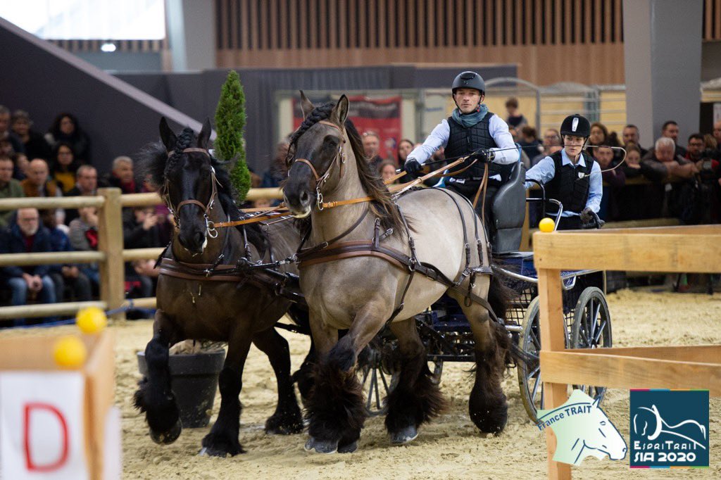 espritrait's tweet photo. Concours Général Agricole, Trophée national d’utilité Inter-Race au salon international de l'agriculture de Paris.
Epreuve de Marathon https://t.co/AuZR2CBZua