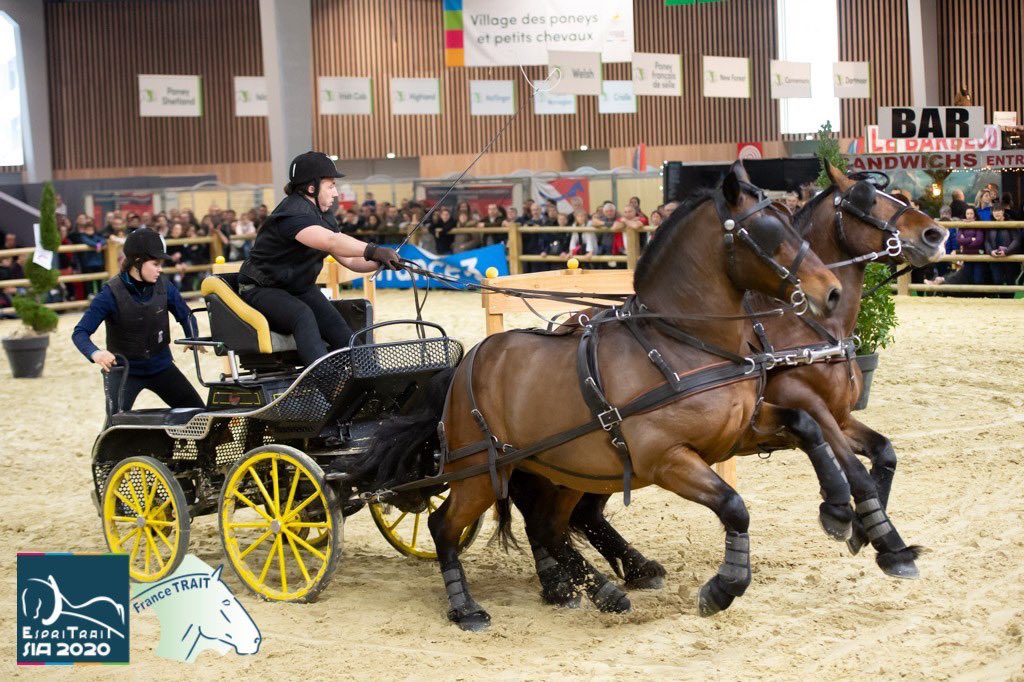 espritrait's tweet photo. Concours Général Agricole, Trophée national d’utilité Inter-Race au salon international de l'agriculture de Paris.
Epreuve de Marathon https://t.co/AuZR2CBZua