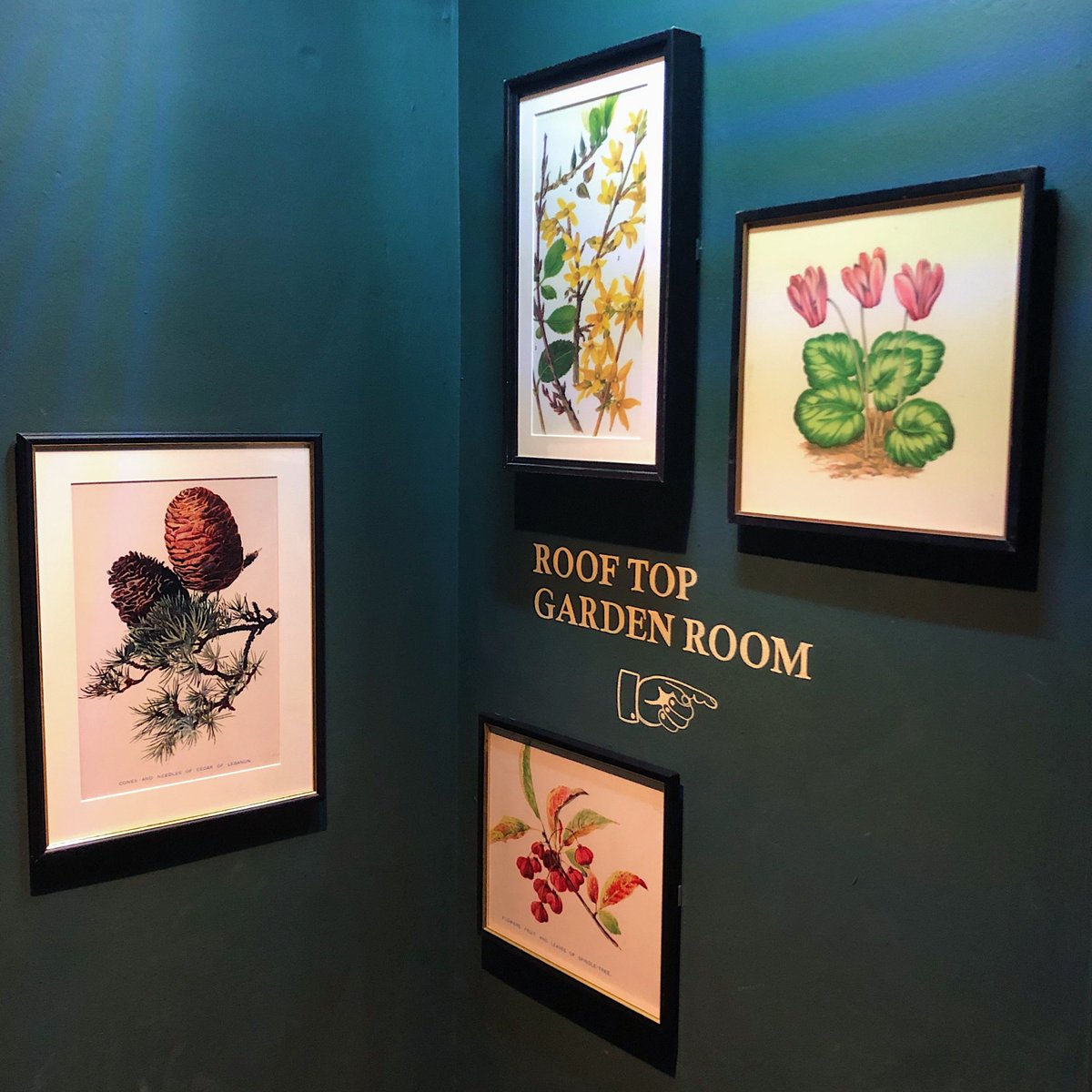 Happy Sunday! We are serving Sunday roast all day! See you there 👀🍻