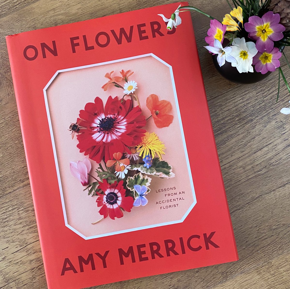 GrowCreateJoy's tweet photo. I heard Amy say in a podcast that she had waited nearly a decade to write this book. On Flowers: Lessons from an Accidental Florist is testament to doing something at the right time for the most perfect result. I have written a blog post about why I loved this book so much. https://t.co/2rfNaQXJey
