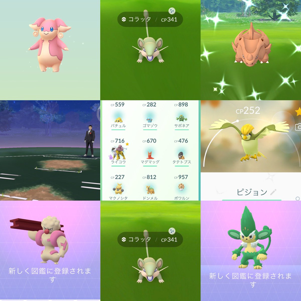 しいたけ Izzy 整理して進化させたり ゲットできたり サカキに勝ったり ポケモンgo コラッタ色違い サイホーン色違い サカキに勝てた