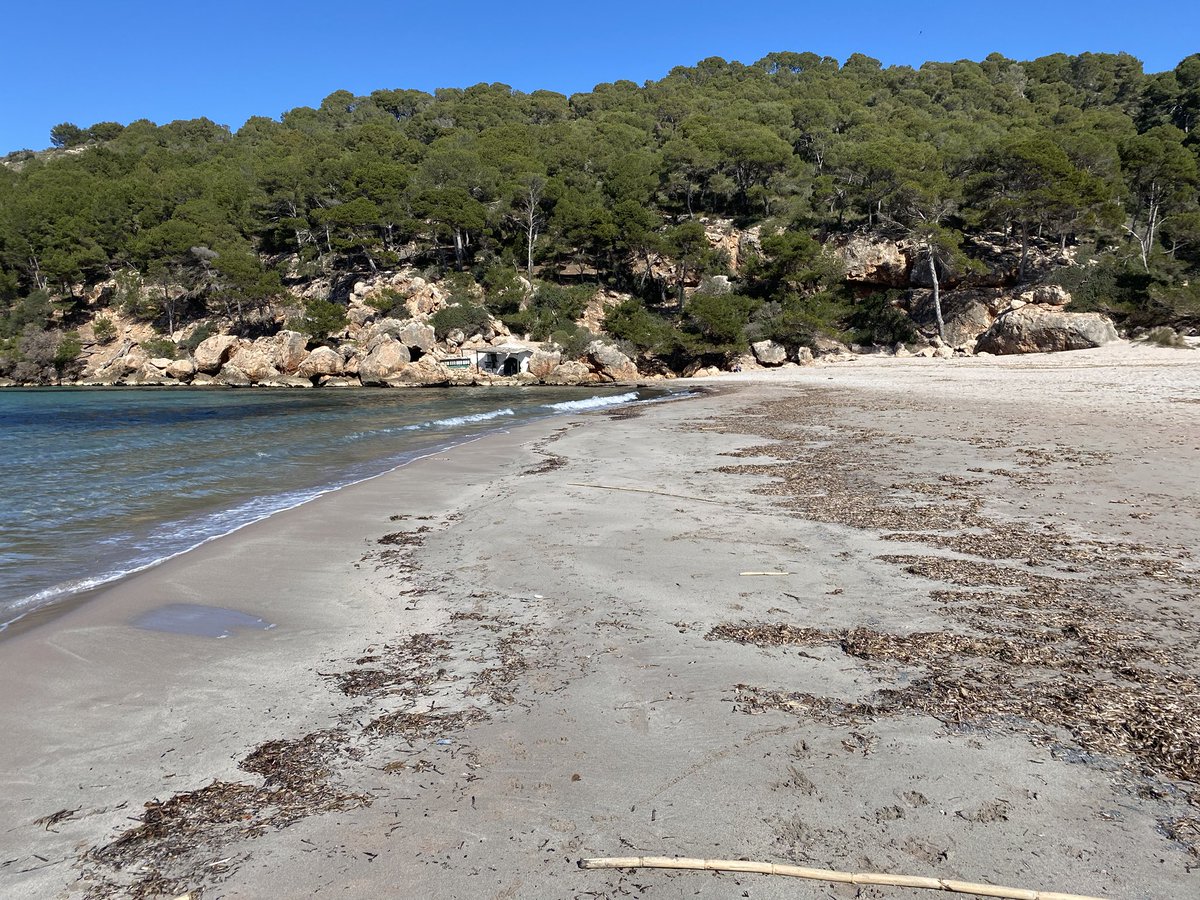 crisjuanico's tweet photo. Passeig dels anys. Avui. Si.
#EsBot #laVall #ciutadella #menorca #menorcaexisteix #illa #mar #mediterrani #cel #sal #sol #paradís https://t.co/Hv4ayw3KGH