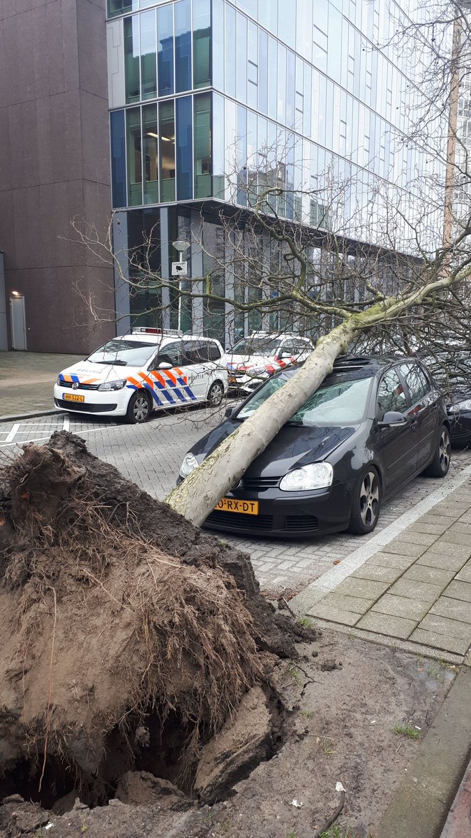 Kijkt u alstublieft goed uit als u naar buiten gaat! De storm veroorzaakt diverse ongelukken. Gelukkig tot nu toe zonder slachtoffers.