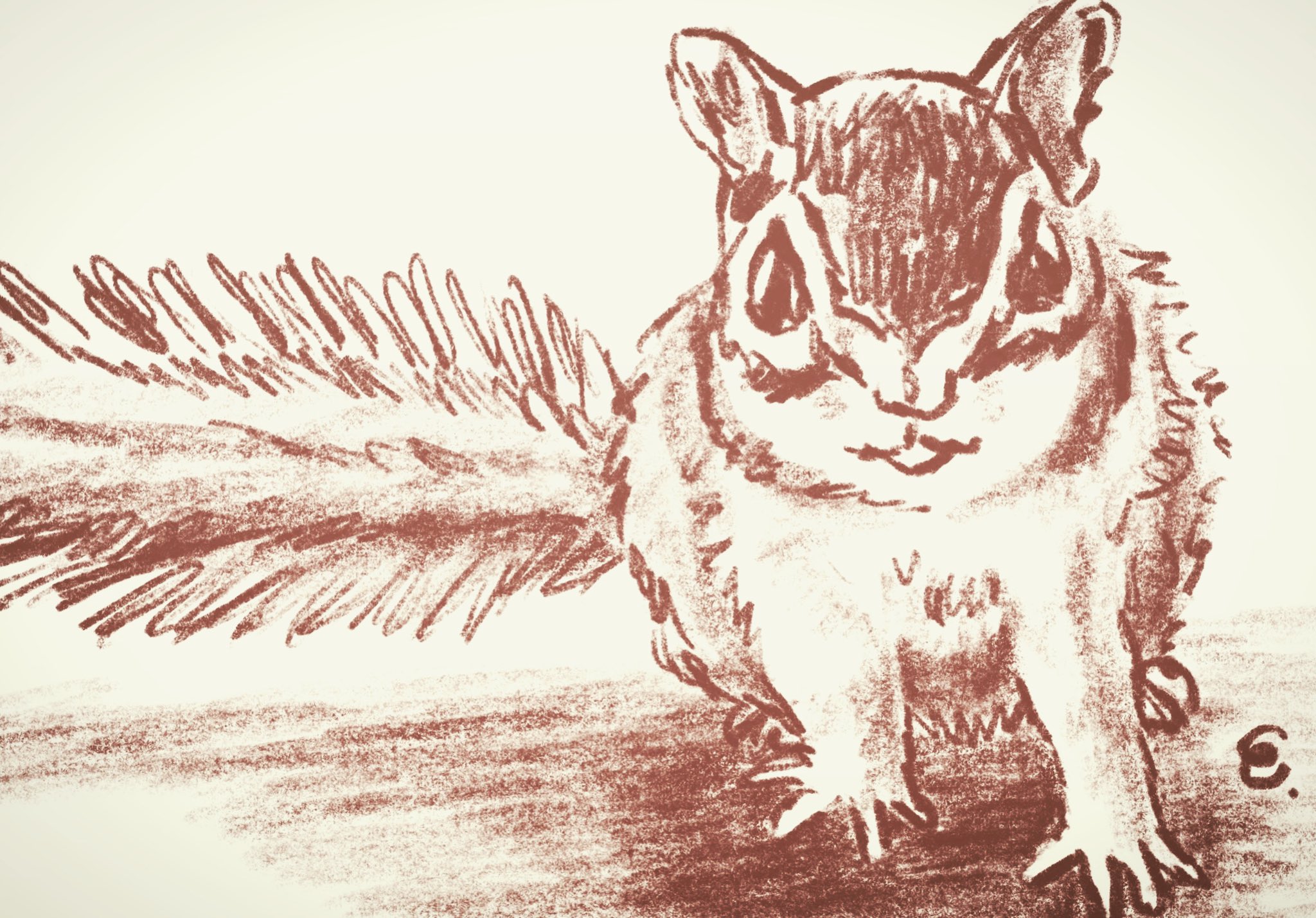 Twitter 上的 Little Shop 福士 博物クリスマス ありがとうリス おやすみなさリス 1日1絵 2月23日 リスの正面顔が笑ってるみたいに見える時もあります リス シマリス 小動物 動物 イラスト スケッチ 落書き Sketch Drawing Illustration T Twitter 上的 Little Shop 福士 博物クリスマス ありがとうリス おやすみなさリス 1日1絵 2月23日 リスの正面顔が笑ってるみたいに見える時もあります リス シマリス 小動物 動物 イラスト スケッチ 落書き Sketch Drawing Illustration T