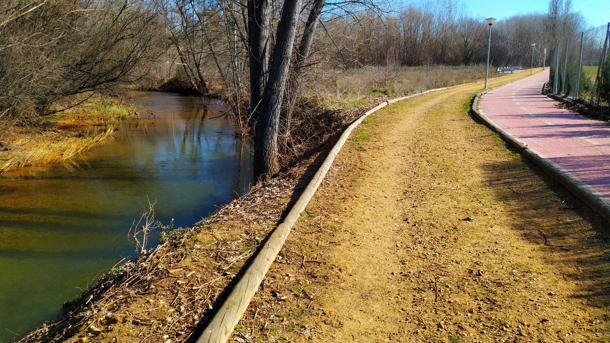 DescubreCadaDia's tweet photo. Paseíto mañanero por la senda a orillas de los ríos #duerna y #tuerto que junto al #orbigo son los que bañan las tierras de @AytoLaBaneza 
Por la tarde toca @CarnavalBaneza https://t.co/ndi0nOyA6n