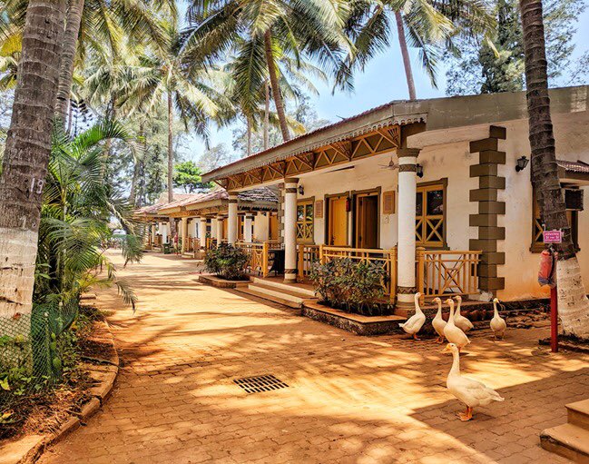 GSBeachResort's tweet photo. Get ready to set your Summer Vacation🌞 Mood🔛 with graceful Swans 🦢at #Murud along with your family and friends.👨👩👧👦👫 while you stay with us at #GSBR🏖
Book your stay now:
Call: 02144274078#murud #muruddiaries #beachvacation #maharashtratourism #familygetaway #familyweekend https://t.co/67mOpnzrhD