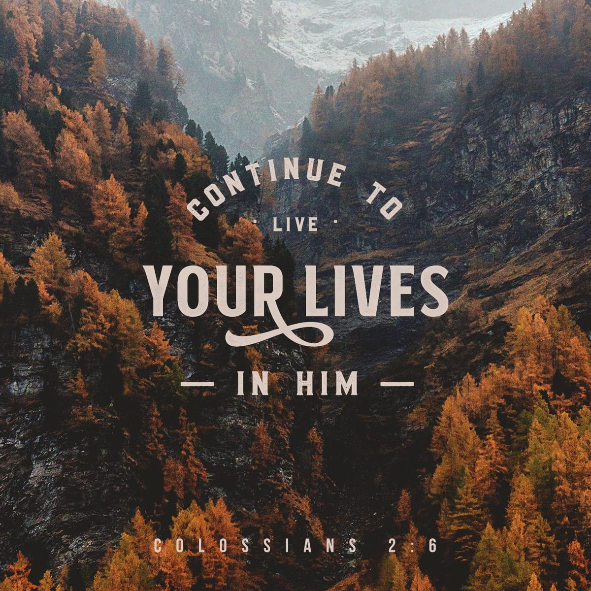 TauraLBarr's tweet photo. Loving by faith causes us to reach out to others. This certainly means actively loving other Christians. It also means taking the initiative to reach out to non-Christians by witnessing. And the only thing you need to do is share God's love. https://t.co/cO6pFYRQQ6