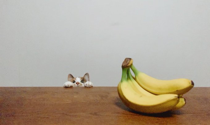 「バナナ」のTwitter画像/イラスト(古い順｜RT&Fav:50)