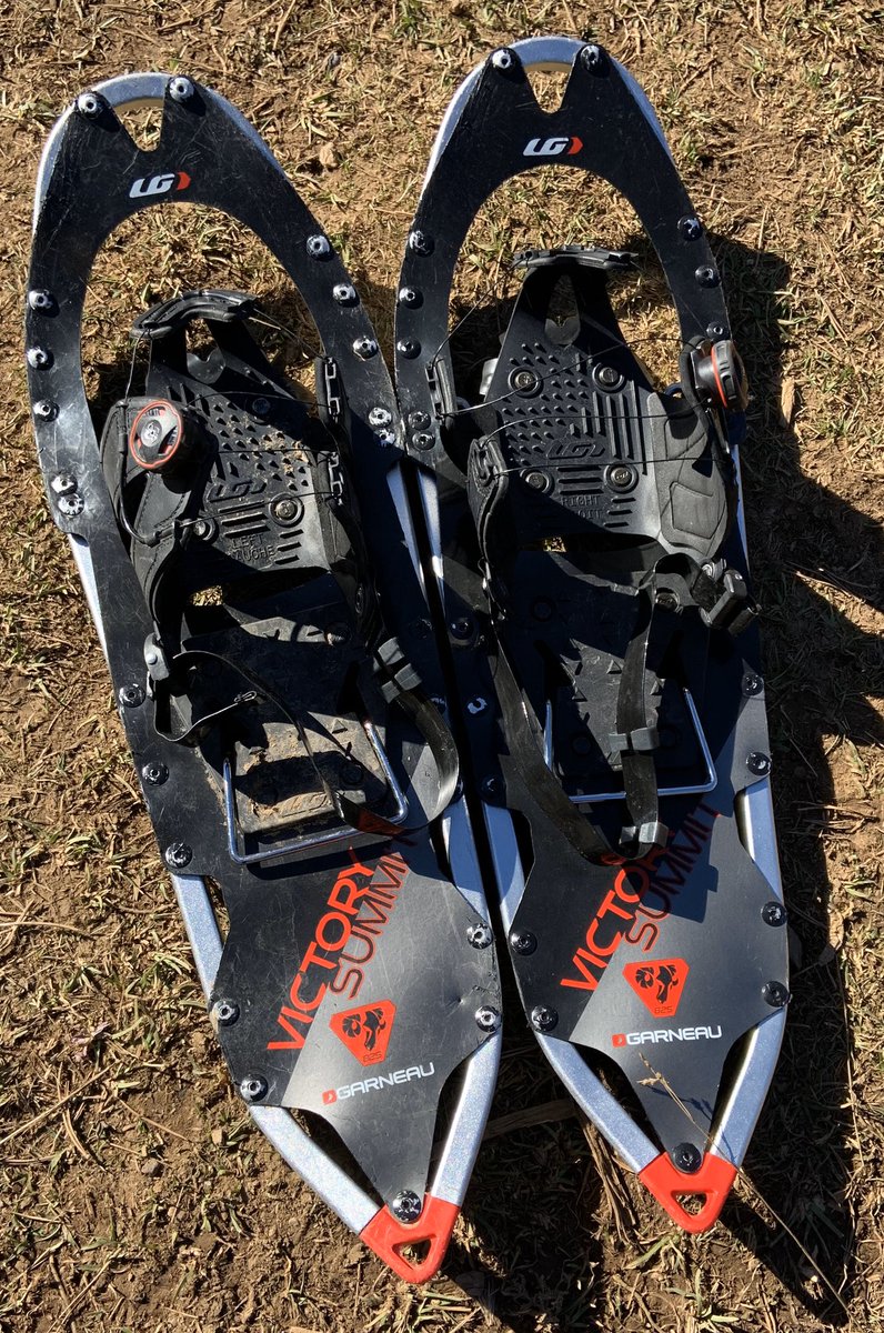 Isabelle Dessureault tweet media