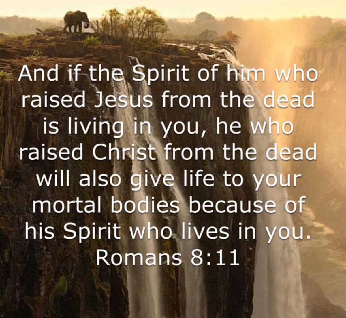 GatewayChurch1's tweet photo. Saved - All have fallen short in life and have needed to be saved, Jesus has come and set us free and created something new.

#GodIsGood #Saved
#Faith #Healed
#God #Empowered
#Church #Released
#Jesus #Love
#Acceptance #Purpose
#Gateway #Waymaker
#MiricleWorker #PromiseKeeper https://t.co/iXUnqN50Qq
