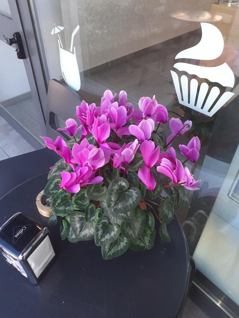 Miss Barby tweet media