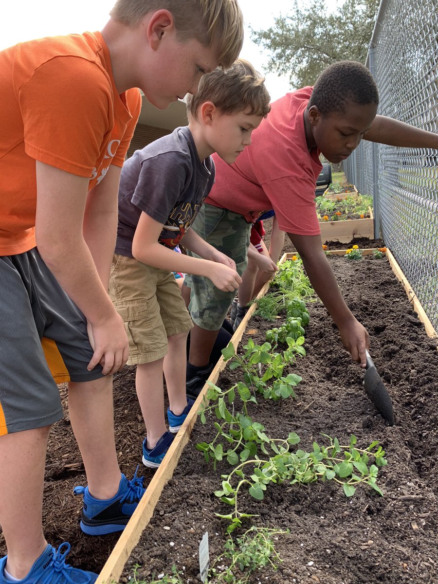 MrsFridayABES's tweet photo. So excited about our new teaching garden at Apollo Beach Elementary. @HCPSApolloBeach @HCPSArea5 @HCPSElemScience @American_Heart @3rdAbes https://t.co/lsEiGm0Z7b