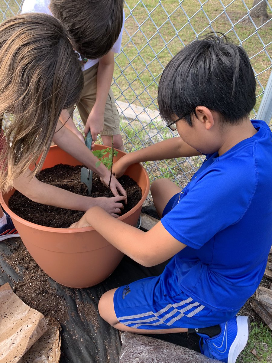 MrsFridayABES's tweet photo. So excited about our new teaching garden at Apollo Beach Elementary. @HCPSApolloBeach @HCPSArea5 @HCPSElemScience @American_Heart @3rdAbes https://t.co/lsEiGm0Z7b