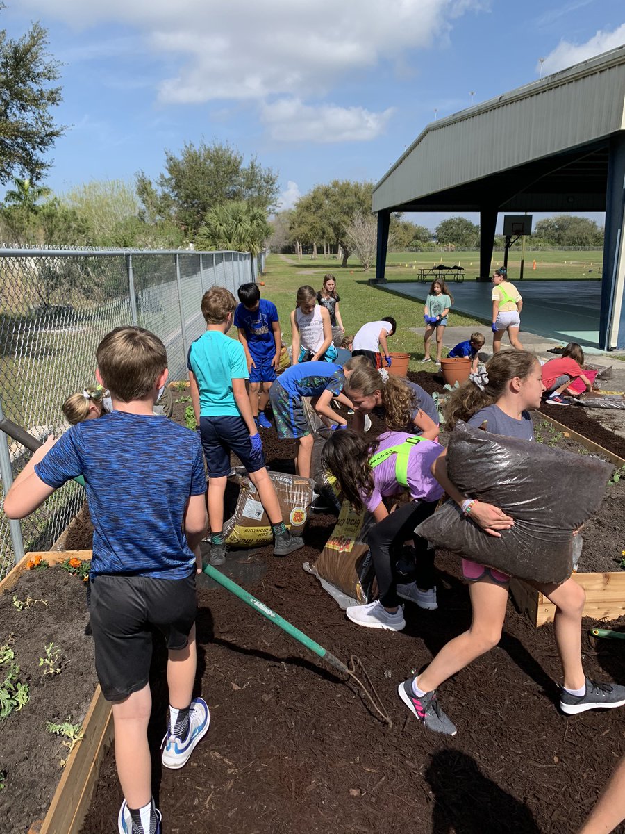 MrsFridayABES's tweet photo. So excited about our new teaching garden at Apollo Beach Elementary. @HCPSApolloBeach @HCPSArea5 @HCPSElemScience @American_Heart @3rdAbes https://t.co/lsEiGm0Z7b