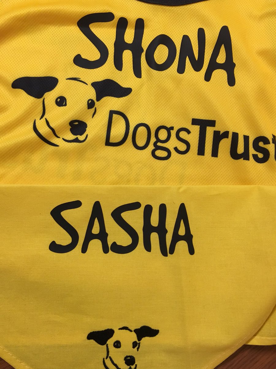 Shonbanon's tweet photo. @DogsTrust @DogJogUK Me and Sasha are definitely getting excited now! We best crack on with our training! https://t.co/C69zRx756r https://t.co/h7v4TYG4Ux