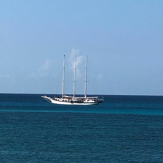 JudyHGarrison's tweet photo. Today we board. We hop the tender and jet out to the middle of the harbor. Sounds easy, but not for the sea-weary girl. I’m hoping the second time is adventure! 
#travelwriter #travelphotographer #twocootstravel #wego #traveler #traveltowrite #traveltoeat #foodie https://t.co/MyF1UPCNRp
