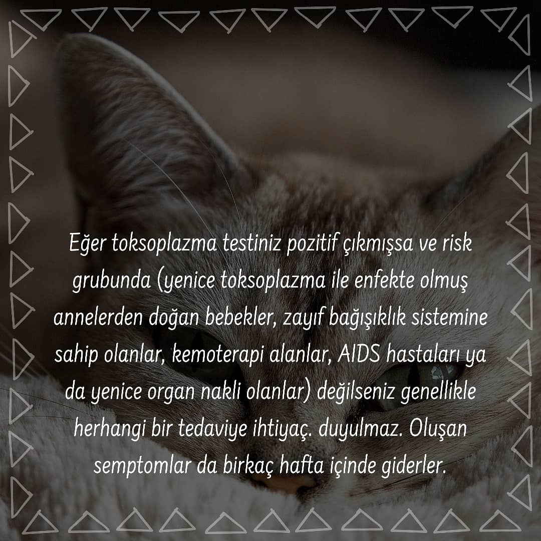 iuhfhayvanhak's tweet photo. Toksoplazma nedir?
Kaynakça
https://t.co/EWXsCrXLQX
https://t.co/c65BXFML9R
https://t.co/Y94t8pQrTG
https://t.co/R7s0ds9F9t
#hayvanhaklari
#hayvanlaralemi
#toksoplasma https://t.co/9qGsecLp43