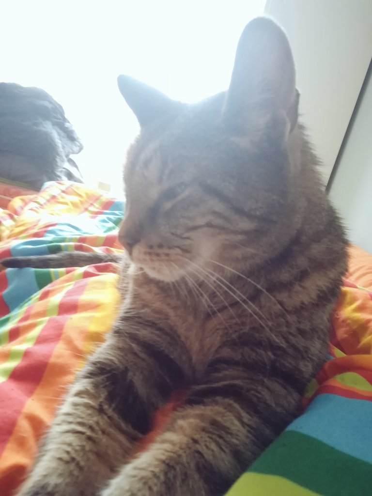 warmphilip's tweet photo. Today is treate your butlre day… I amn kepeing them worm… https://t.co/merErjGYRB