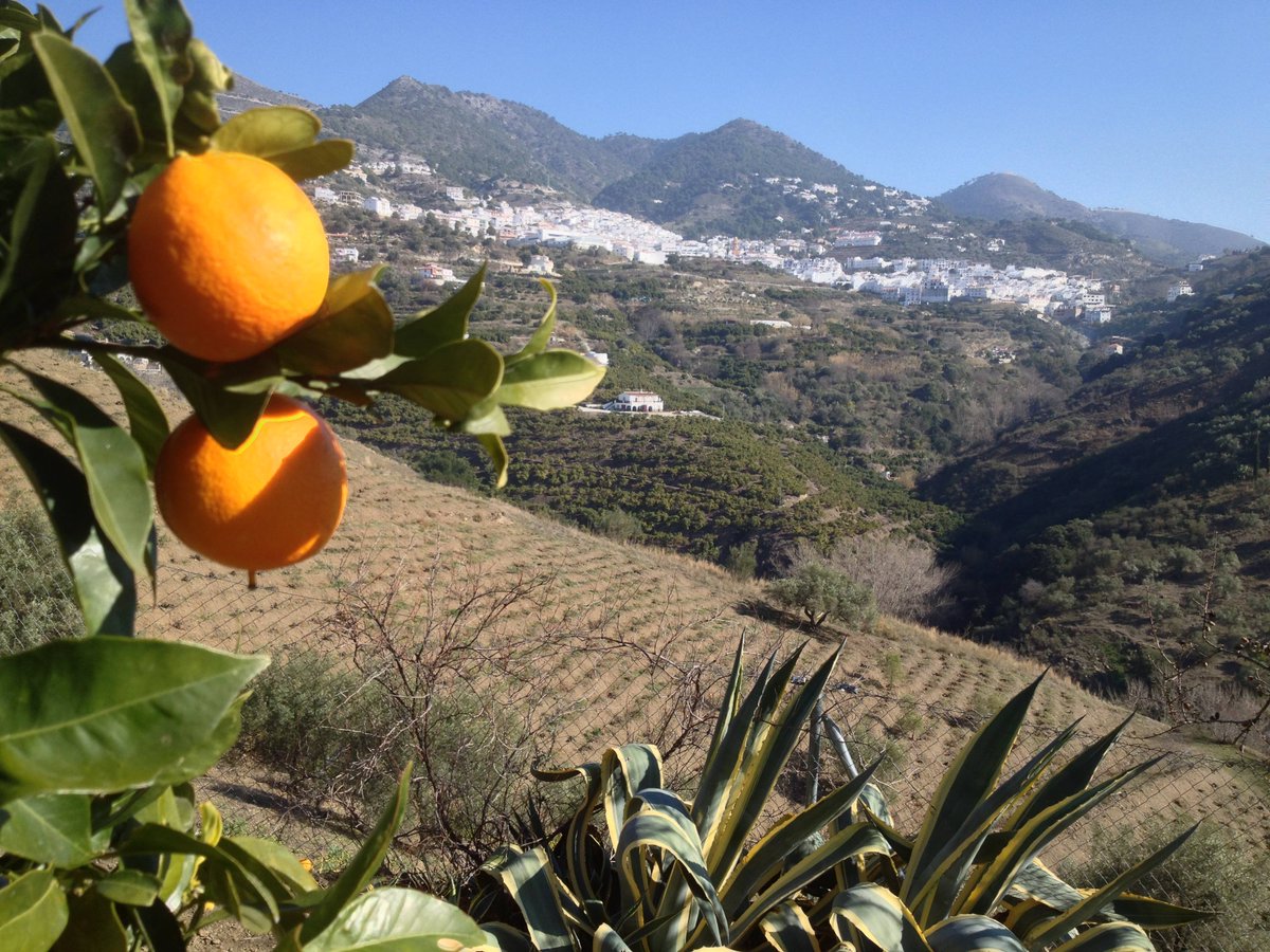 BlueValleyCars's tweet photo. Guide to Spain's Costa del Sol #competa https://t.co/4kbuKSlS2k https://t.co/SOn1KNNLNH