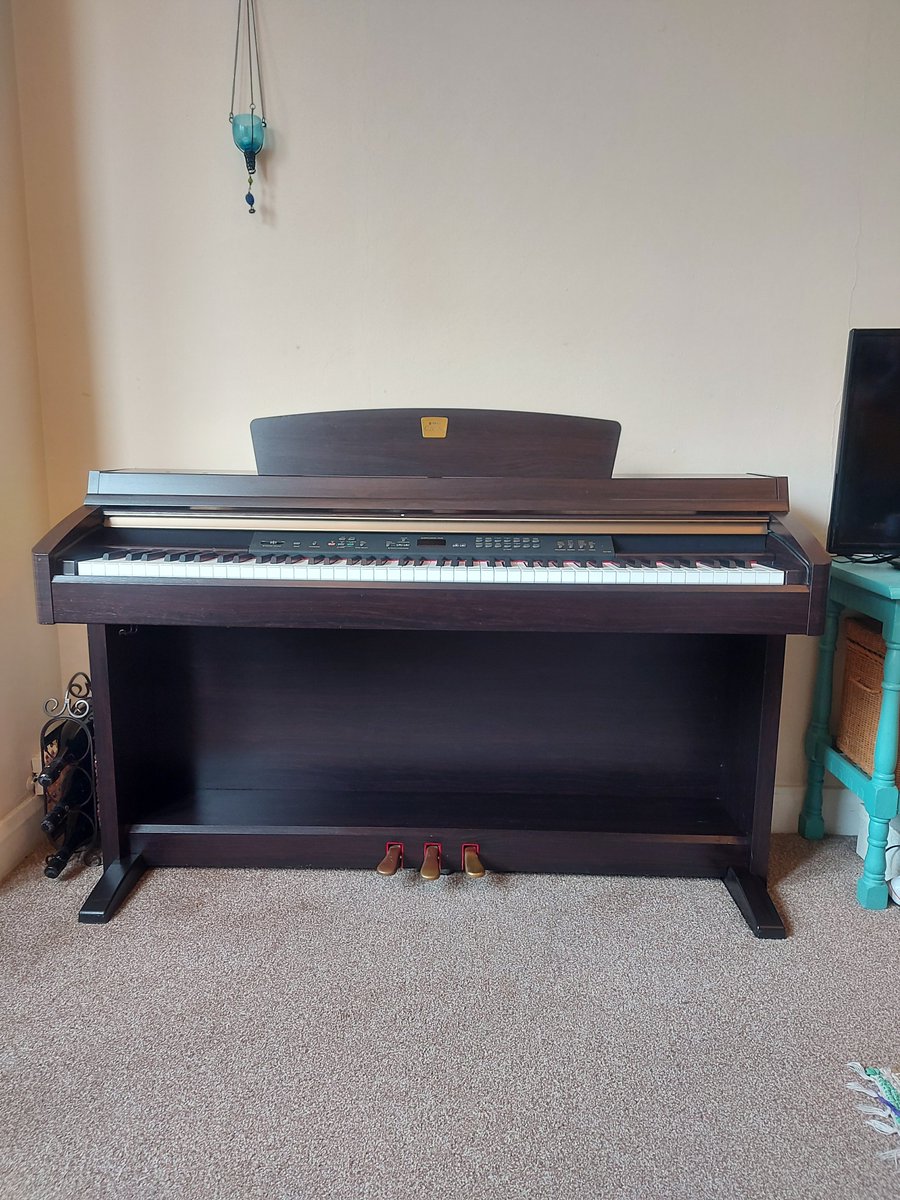 martha_bailey_'s tweet photo. Selling this delicious specimen if anyone is interested.  Clavinova CLP 230 with 88 keys. It has some cosmetic damage but still works beautifully: https://t.co/m1uIBHY6tj https://t.co/rmfB3zQS9Z