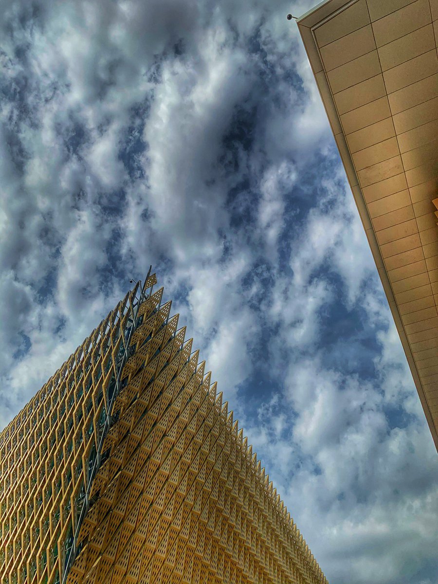 غاليـــة ‏𓂆 tweet media