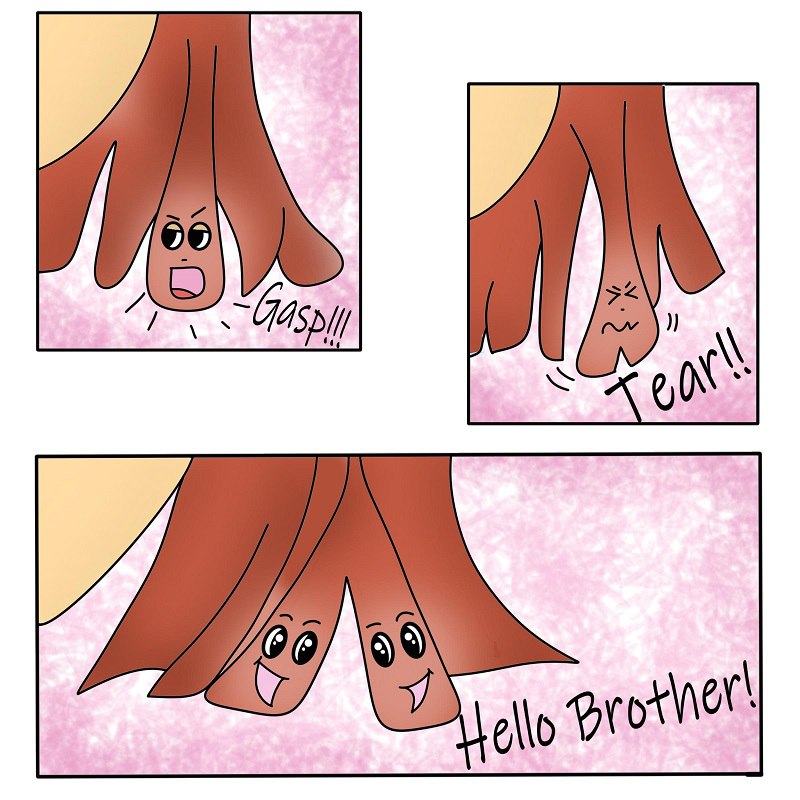 ChroniclesCocos's tweet photo. Don't you hate it when this happens 😤

Webtoon:
https://t.co/SEuYdBHNkx

Tapas:
https://t.co/ir90yR0Hx3

#cocoschronicles #webcomics #makecomic #webcomic #webtooncanvas #webtoon #couplegoals #funnycomic #digitalcomic #indiancomic #digitalcomic #comicoftheday #dailycomic https://t.co/vd6sUtp68g