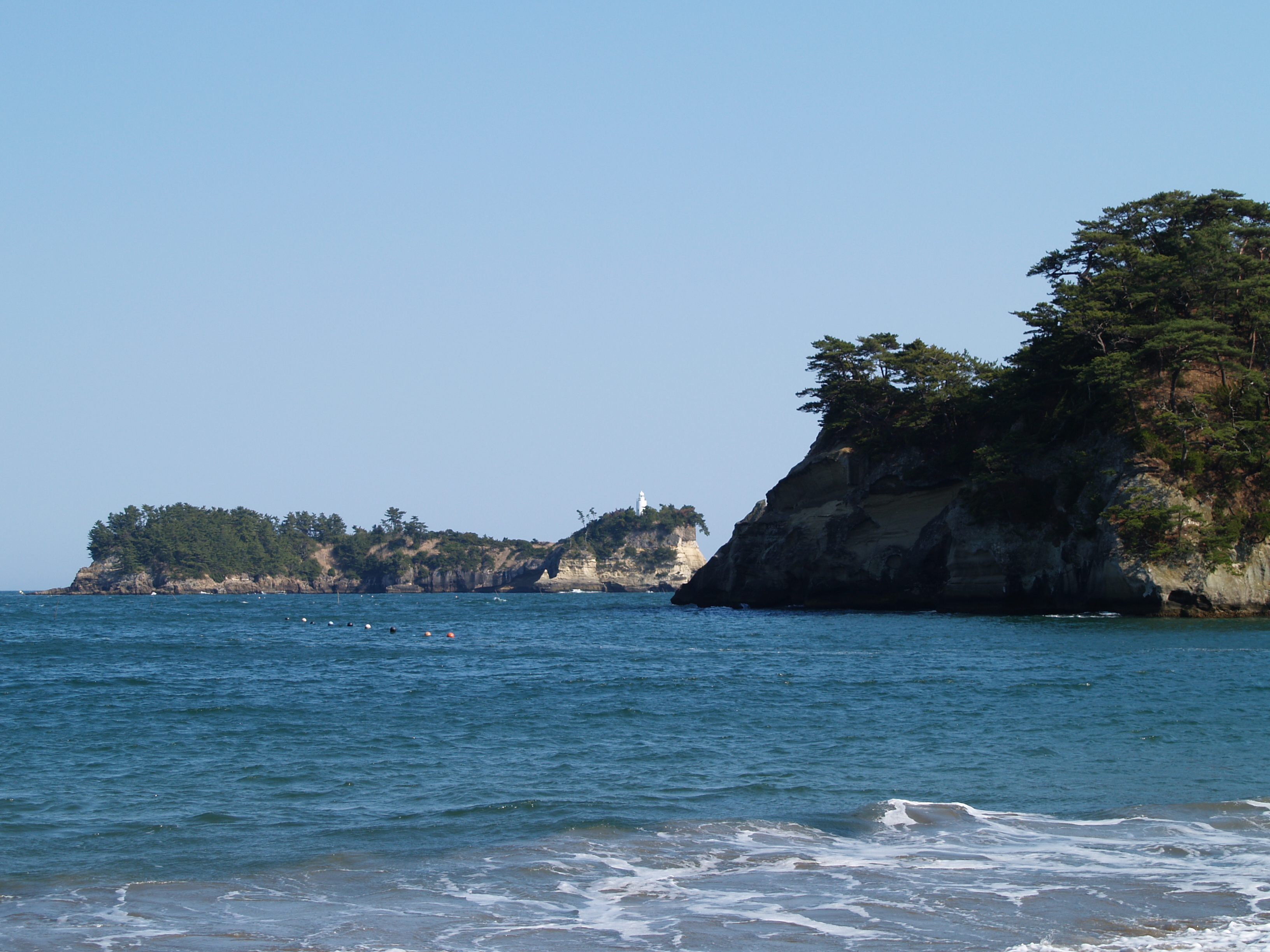 嵯峨渓 Twitter Search Twitter