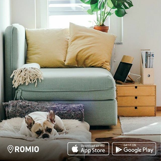 RomioApp's tweet photo. Check out our referral program on @romioapp: For each friend you invite, you both earn $25 in credits when your friend books. For each service provider you recommend, you earn a further $100 after they are booked 5 times. Book a housekeeper, driver, laundry services and anyt… https://t.co/PumxjUds0R