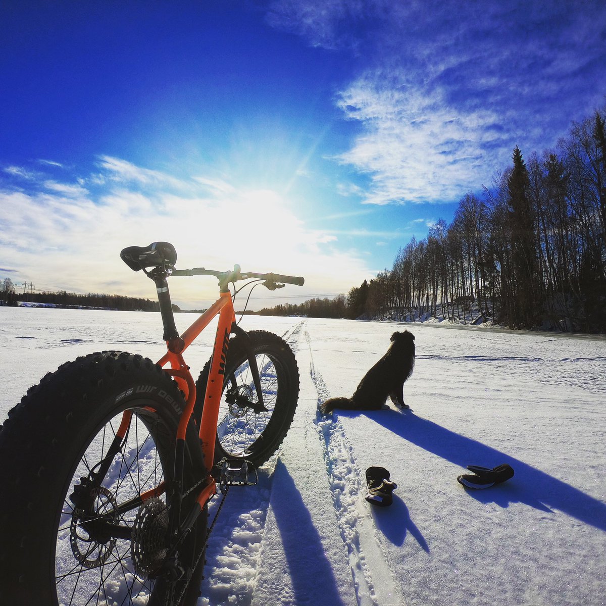 Fatbike på Luleälven idag. 😎